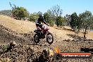 Champions Ride Day MotorX Broadford 27 01 2014 - CR1_1864