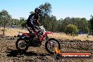 Champions Ride Day MotorX Broadford 27 01 2014 - CR1_1867