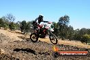 Champions Ride Day MotorX Broadford 27 01 2014 - CR1_1880