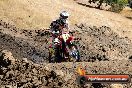 Champions Ride Day MotorX Broadford 27 01 2014 - CR1_1891
