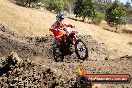 Champions Ride Day MotorX Broadford 27 01 2014 - CR1_1909