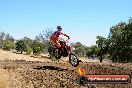 Champions Ride Day MotorX Broadford 27 01 2014 - CR1_2148