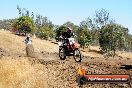 Champions Ride Day MotorX Broadford 27 01 2014 - CR1_2198