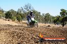 Champions Ride Day MotorX Broadford 27 01 2014 - CR1_2202