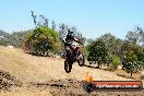Champions Ride Day MotorX Broadford 27 01 2014 - CR1_2216