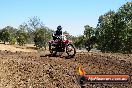 Champions Ride Day MotorX Broadford 27 01 2014 - CR1_2219