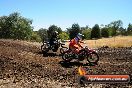 Champions Ride Day MotorX Broadford 27 01 2014 - CR1_2232