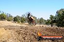 Champions Ride Day MotorX Broadford 27 01 2014 - CR1_2244