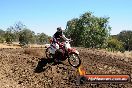 Champions Ride Day MotorX Broadford 27 01 2014 - CR1_2266