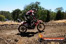 Champions Ride Day MotorX Broadford 27 01 2014 - CR1_2395