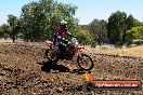 Champions Ride Day MotorX Broadford 27 01 2014 - CR1_2452
