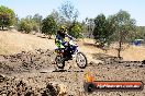 Champions Ride Day MotorX Broadford 27 01 2014 - CR1_2454