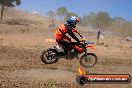 MRMC MotorX Ride Day Broadford 2 of 2 parts 19 01 2014 - 9CR_3138