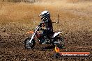 MRMC MotorX Ride Day Broadford 2 of 2 parts 19 01 2014 - 9CR_3433