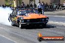 2014 NSW Championship Series R1 and Blown vs Turbo Part 1 of 2 - 0963-20140322-JC-SD-1392