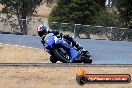 Champions Ride Day Broadford 1 of 2 parts 01 03 2014 - CR2_8569