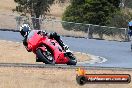 Champions Ride Day Broadford 1 of 2 parts 01 03 2014 - CR2_8666