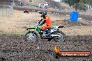 Champions Ride Day MotorX Broadford 16 03 2014 - 0006-CR4_9043