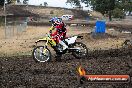 Champions Ride Day MotorX Broadford 16 03 2014 - 0033-CR4_9077