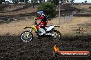 Champions Ride Day MotorX Broadford 16 03 2014 - 0035-CR4_9079