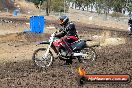 Champions Ride Day MotorX Broadford 16 03 2014 - 0072-CR5_0055
