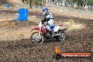 Champions Ride Day MotorX Broadford 16 03 2014 - 0077-CR5_0061