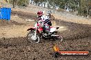 Champions Ride Day MotorX Broadford 16 03 2014 - 0105-CR5_0099