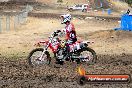 Champions Ride Day MotorX Broadford 16 03 2014 - 0134-CR5_0131