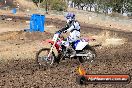 Champions Ride Day MotorX Broadford 16 03 2014 - 0163-CR5_0163