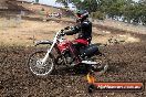 Champions Ride Day MotorX Broadford 16 03 2014