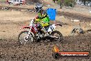 Champions Ride Day MotorX Broadford 16 03 2014 - 0226-CR5_0241