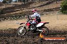 Champions Ride Day MotorX Broadford 16 03 2014 - 0249-CR5_0265