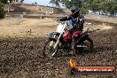 Champions Ride Day MotorX Broadford 16 03 2014 - 0258-CR5_0274