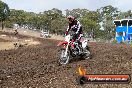 Champions Ride Day MotorX Broadford 16 03 2014 - 0263-CR5_0279