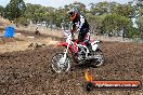 Champions Ride Day MotorX Broadford 16 03 2014 - 0265-CR5_0281