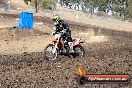 Champions Ride Day MotorX Broadford 16 03 2014 - 0310-CR5_0349