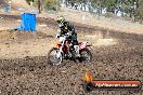 Champions Ride Day MotorX Broadford 16 03 2014 - 0310-CR5_0349