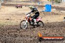 Champions Ride Day MotorX Broadford 16 03 2014 - 0311-CR5_0350