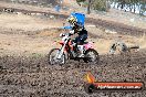 Champions Ride Day MotorX Broadford 16 03 2014 - 0319-CR5_0360