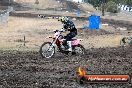 Champions Ride Day MotorX Broadford 16 03 2014 - 0331-CR5_0374