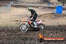 Champions Ride Day MotorX Broadford 16 03 2014 - 0343-CR5_0388