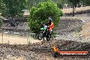 Champions Ride Day MotorX Broadford 16 03 2014 - 0457-CR5_0537