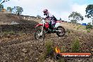 Champions Ride Day MotorX Broadford 16 03 2014 - 0482-CR5_0566