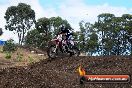 Champions Ride Day MotorX Broadford 16 03 2014 - 0520-CR5_0607