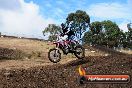 Champions Ride Day MotorX Broadford 16 03 2014 - 0600-CR5_0694