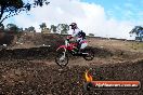 Champions Ride Day MotorX Broadford 16 03 2014 - 0622-CR5_0717