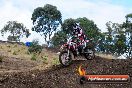 Champions Ride Day MotorX Broadford 16 03 2014 - 0665-CR5_0762