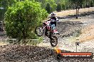 Champions Ride Day MotorX Broadford 16 03 2014 - 0784-CR5_0901