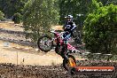 Champions Ride Day MotorX Broadford 16 03 2014 - 0787-CR5_0904