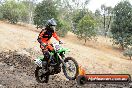 Champions Ride Day MotorX Broadford 16 03 2014 - 0901-CR5_1050